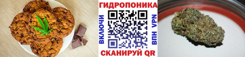 Cannafood конопля  Волхов 