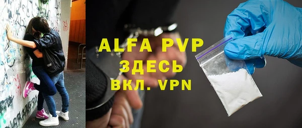 ECSTASY Алзамай