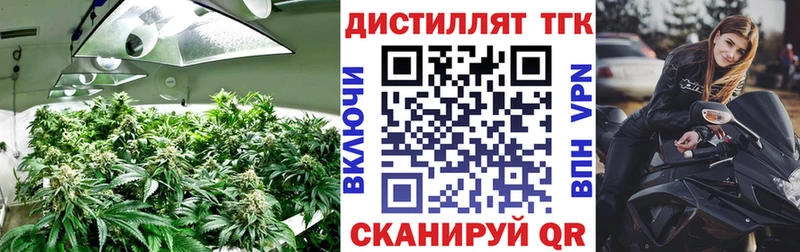 купить наркотики цена  Волхов  ТГК гашишное масло 