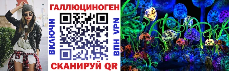 MEGA вход  Волхов  Галлюциногенные грибы прущие грибы 